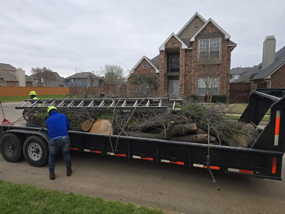 Expert Tree Fertilization with proper safety equipment in Valmora
